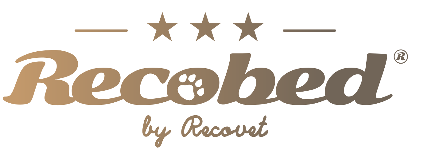 logo-recobed